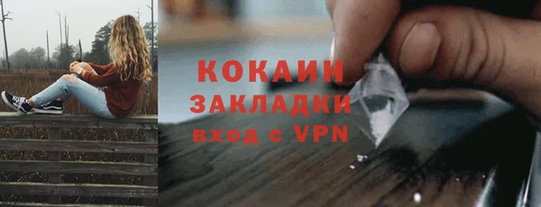 тгк Шали